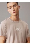 CALVIN KLEIN JEANS T-SHIRT MONOGRAM ALUMINUM J30J325649-PAH