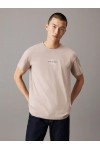 CALVIN KLEIN JEANS T-SHIRT MONOGRAM ALUMINUM J30J325649-PAH