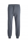 JACK & JONES STGORDON BRADLEY SWEAT PANT NOOS TURBULANCE 12249274