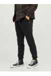 JACK & JONES STGORDON BRADLEY SWEAT PANT NOOS BLACK 12249274