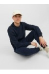 JACK & JONES STGORDON BRADLEY SWEAT PANT NOOS NAVY BLAZER 12249274