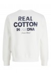JACK & JONES DOVER GRAPHIC SWEAT CREW SN CLOUD DANCER 12299443