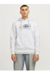JACK & JONES PORTLAND BLOCK SWEAT HOOD LN LIGHT GREY 12262421