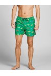 JACK & JONES JPSTCRETE JJSWIM AKM NOVELTY JELLY BEAN 12204007