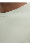JACK & JONES ALMERIA BRANDING TEE SS CREW NECK CELADON TINT 12276784