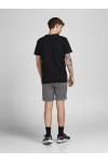 JACK & JONES JPSTFURY JJSHORTS ANA SN DRIZZLE 12206889