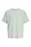 JACK & JONES ETERNA GRAPHIC BACK TEE SS CREW NECK AQUA GRAY 12295836