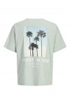 JACK & JONES ETERNA GRAPHIC BACK TEE SS CREW NECK AQUA GRAY 12295836