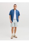 JACK & JONES BOWIE SHORTS SA PRINTED REG SN OYSTER MUSHROOM 12230336