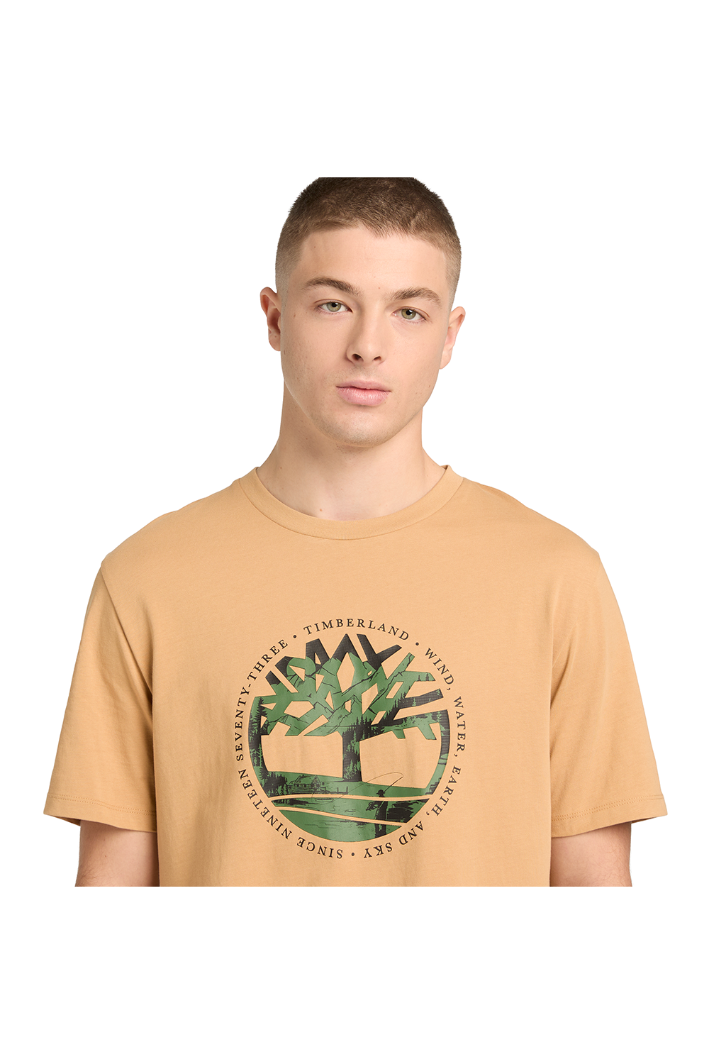 TIMBERLAND TREE LOGO LAKE HOUSE GRAPHIC TEE LIGHT WHEAT BOOT TB0A5MVREH3