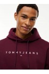 TOMMY HILFIGER HOODIE CALYPSO BERRY DM0DM20746-V11