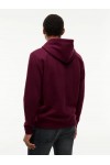 TOMMY HILFIGER HOODIE CALYPSO BERRY DM0DM20746-V11