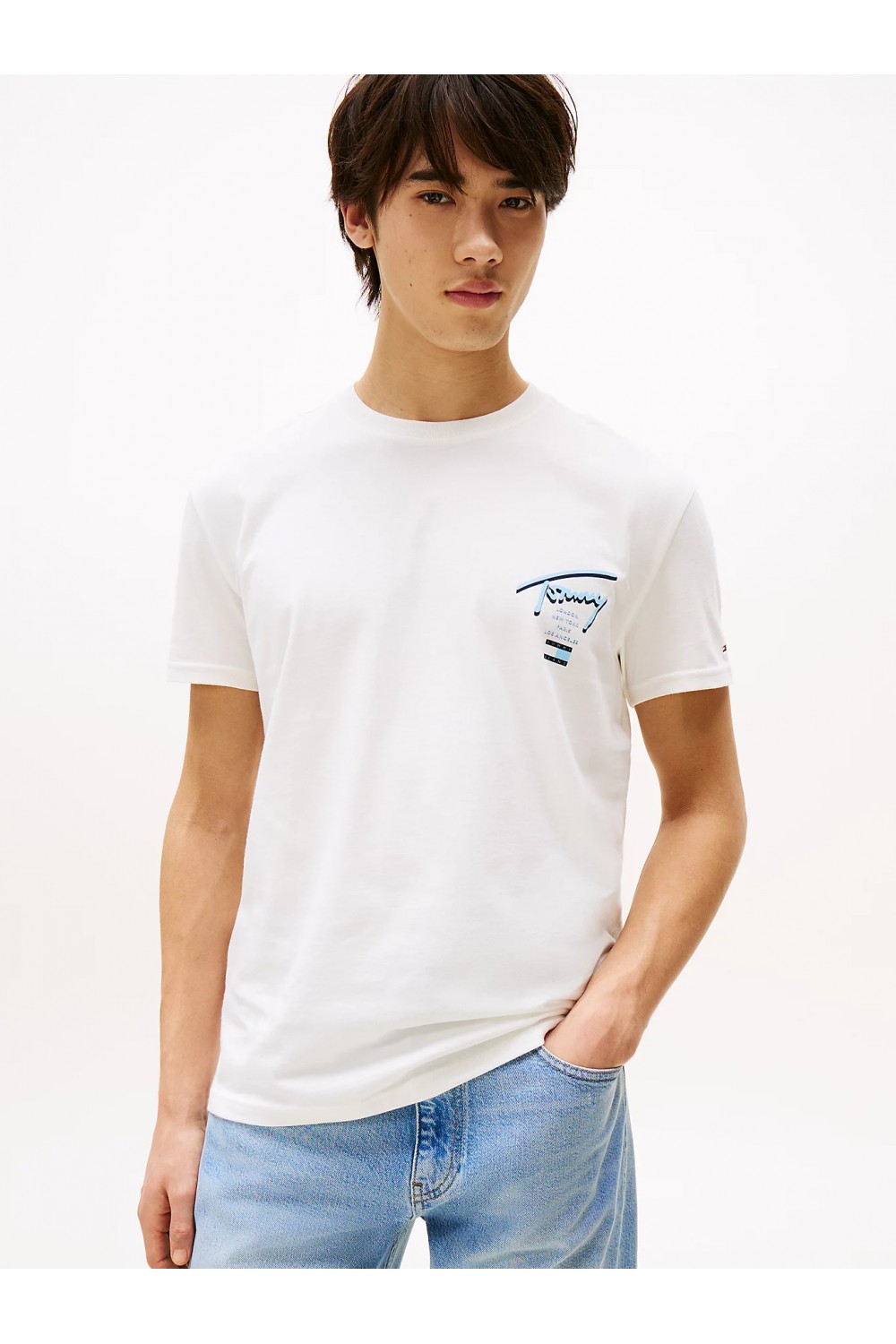 TOMMY HILFIGER T-SHIRT SIGNATURE BACK LOGO CREW NECK ECRU DM0DM21934-YBL
