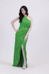 ALEYA LONG DRESS GREEN 522